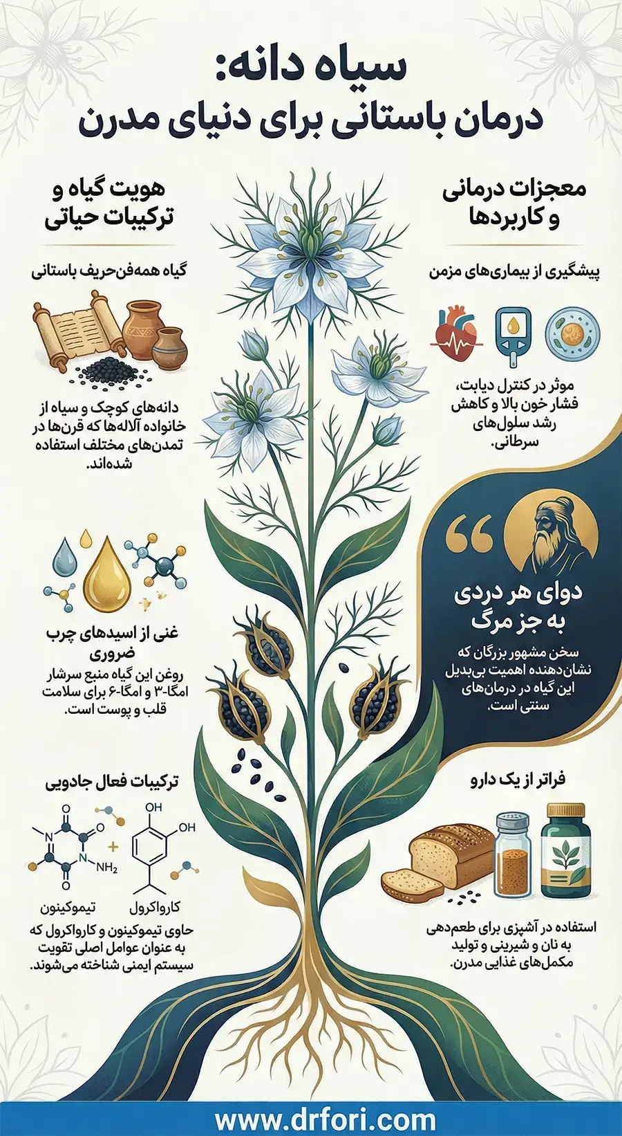 اینفوگرافیک سیاه دانه