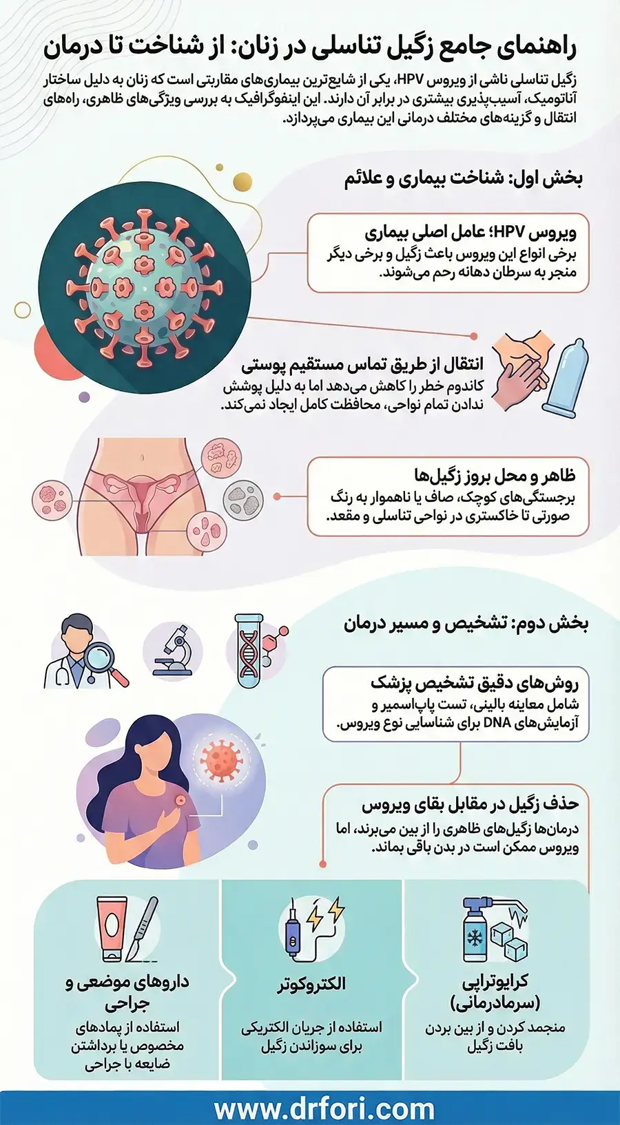 اینفوگرافیک زگیل تناسلی زنان