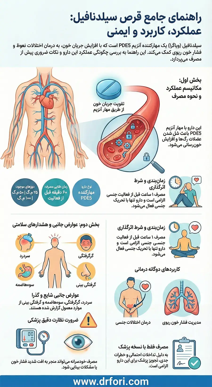 اینفوگرافیک قرص سیلدنافیل