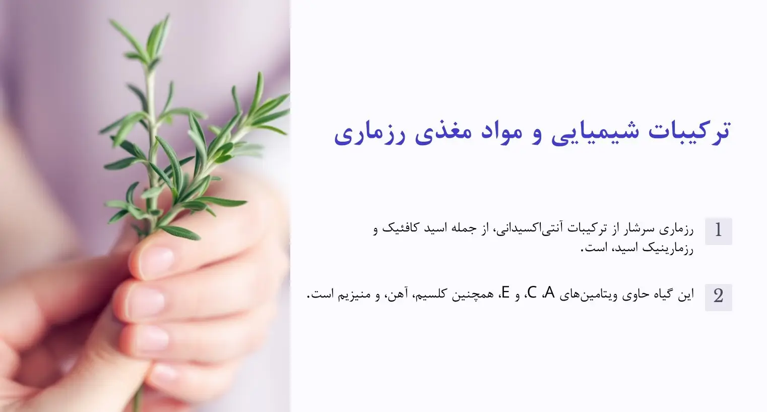 ترکیب شیمیایی رزماری
