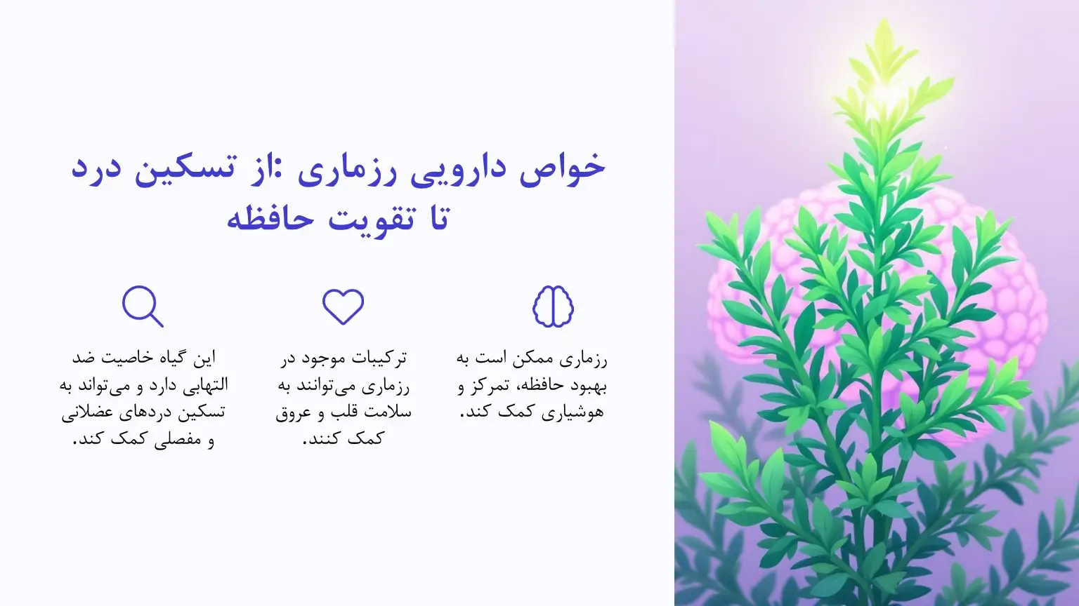 خواص رزماری