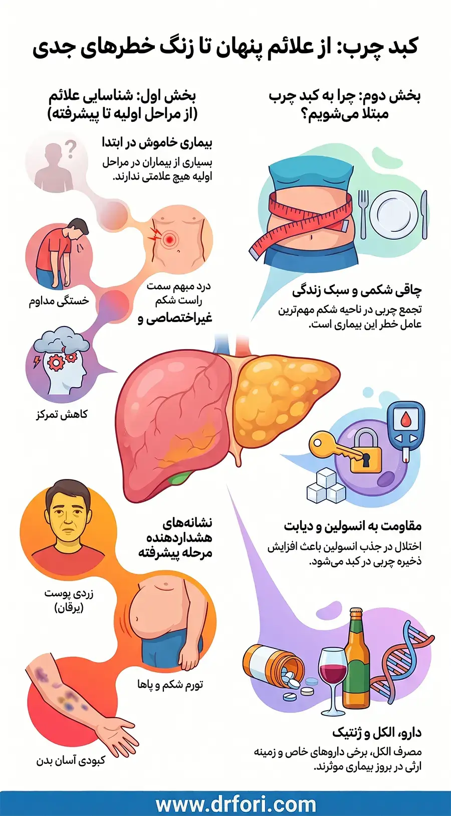 کبد چرب: از علائم پنهان تا زنگ خطرهای جدی