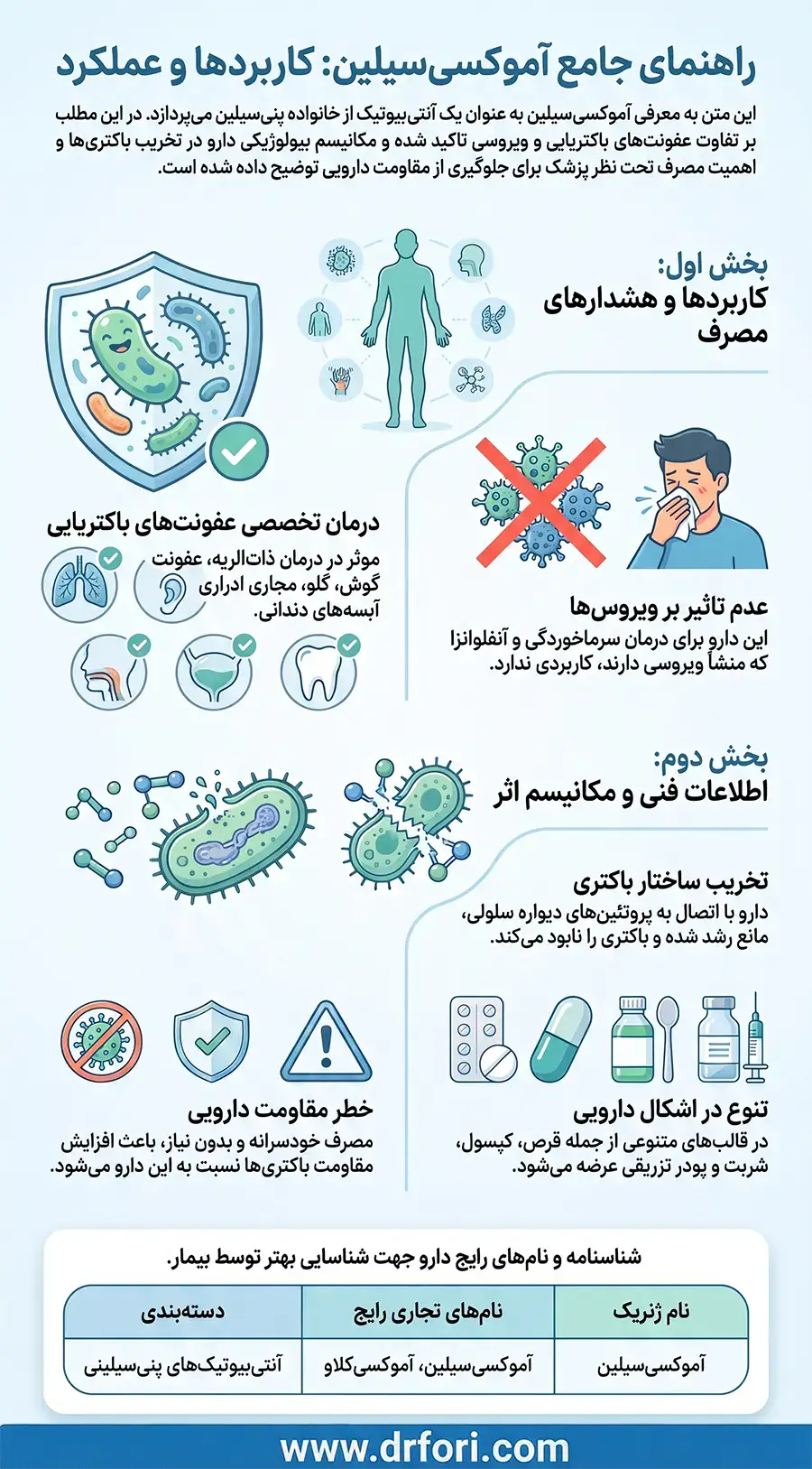 اینفوگرافیک آموکسی سیلین