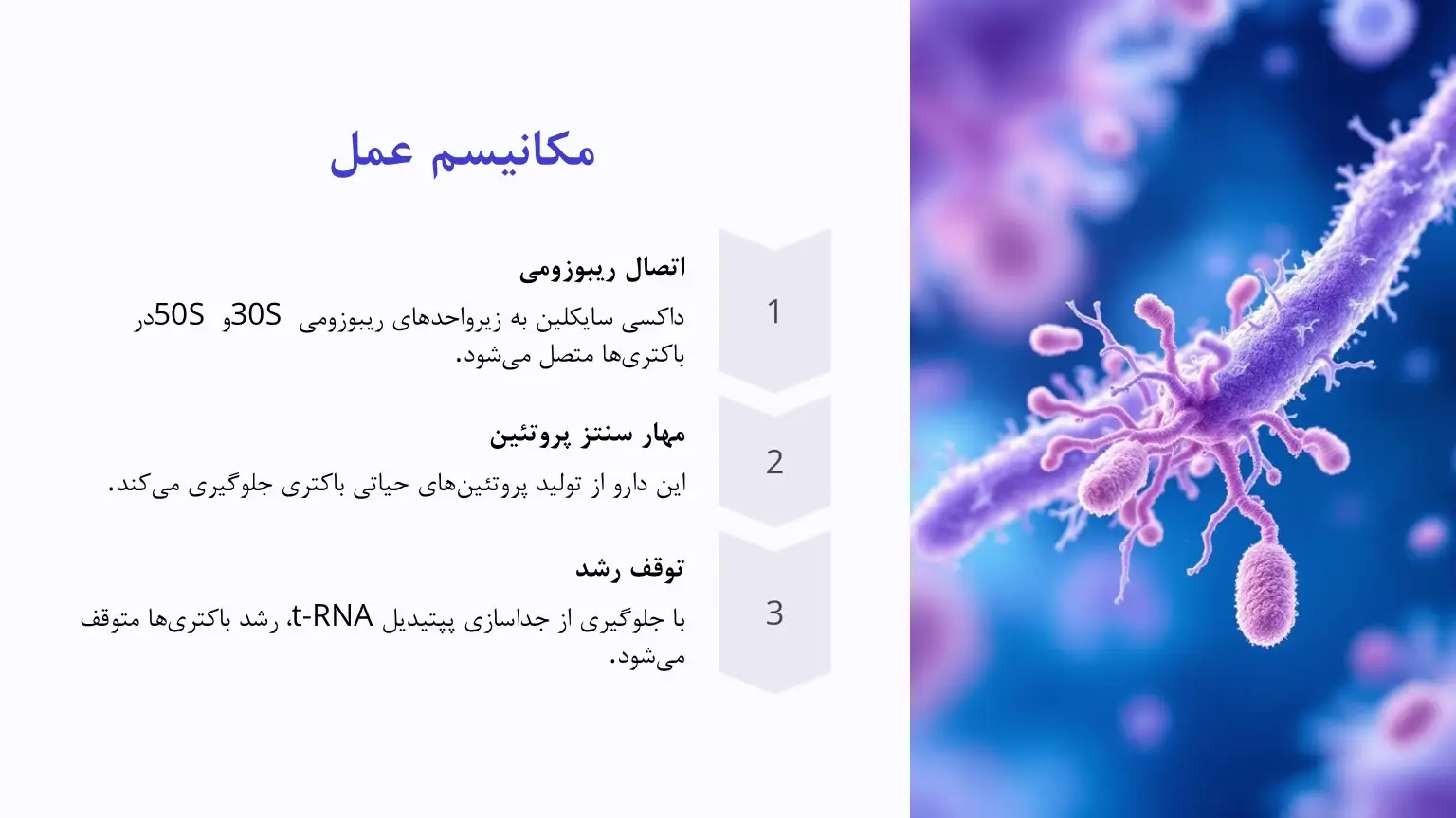 مکانیسم اثر داکسی سایکلین