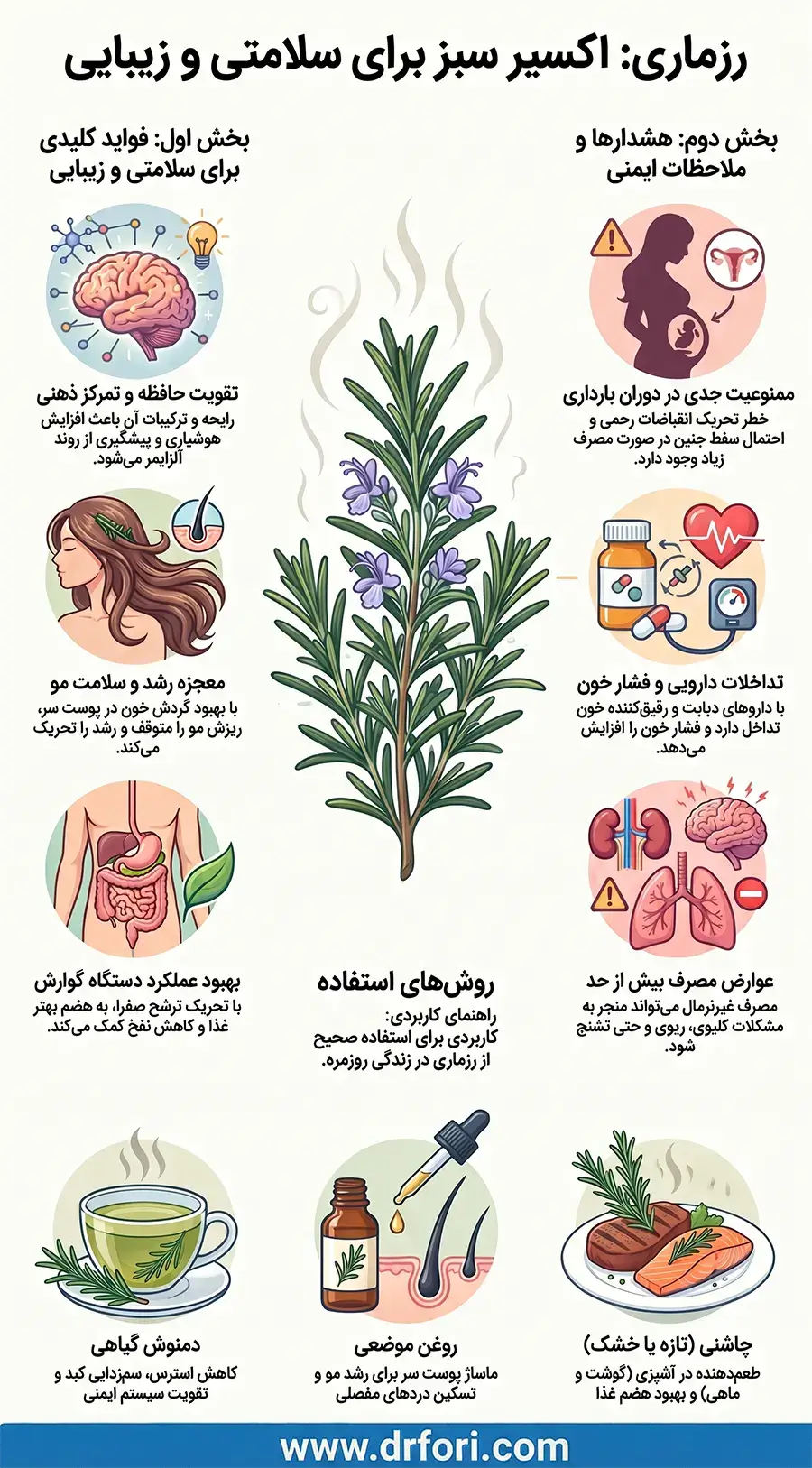 اینفوگرافیک رزماری