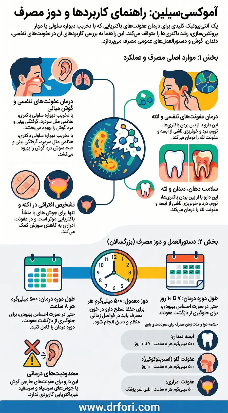 کاربردهای آموکسی سیلین