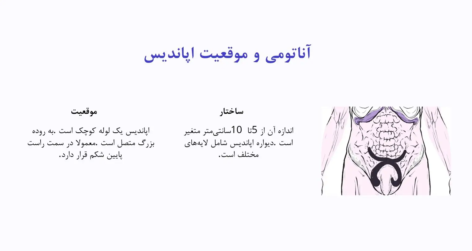 موقعیت آپاندیس در بدن