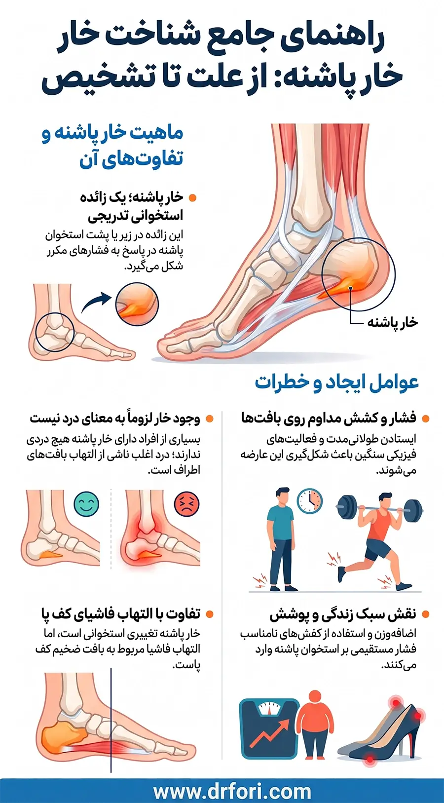 اینفوگرافیک خار پاشنه