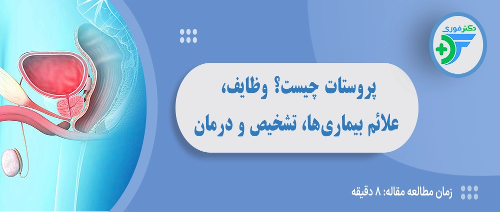 پروستات چیست؟ بررسی وظایف، علائم بیماری‌های پروستات، تشخیص و درمان