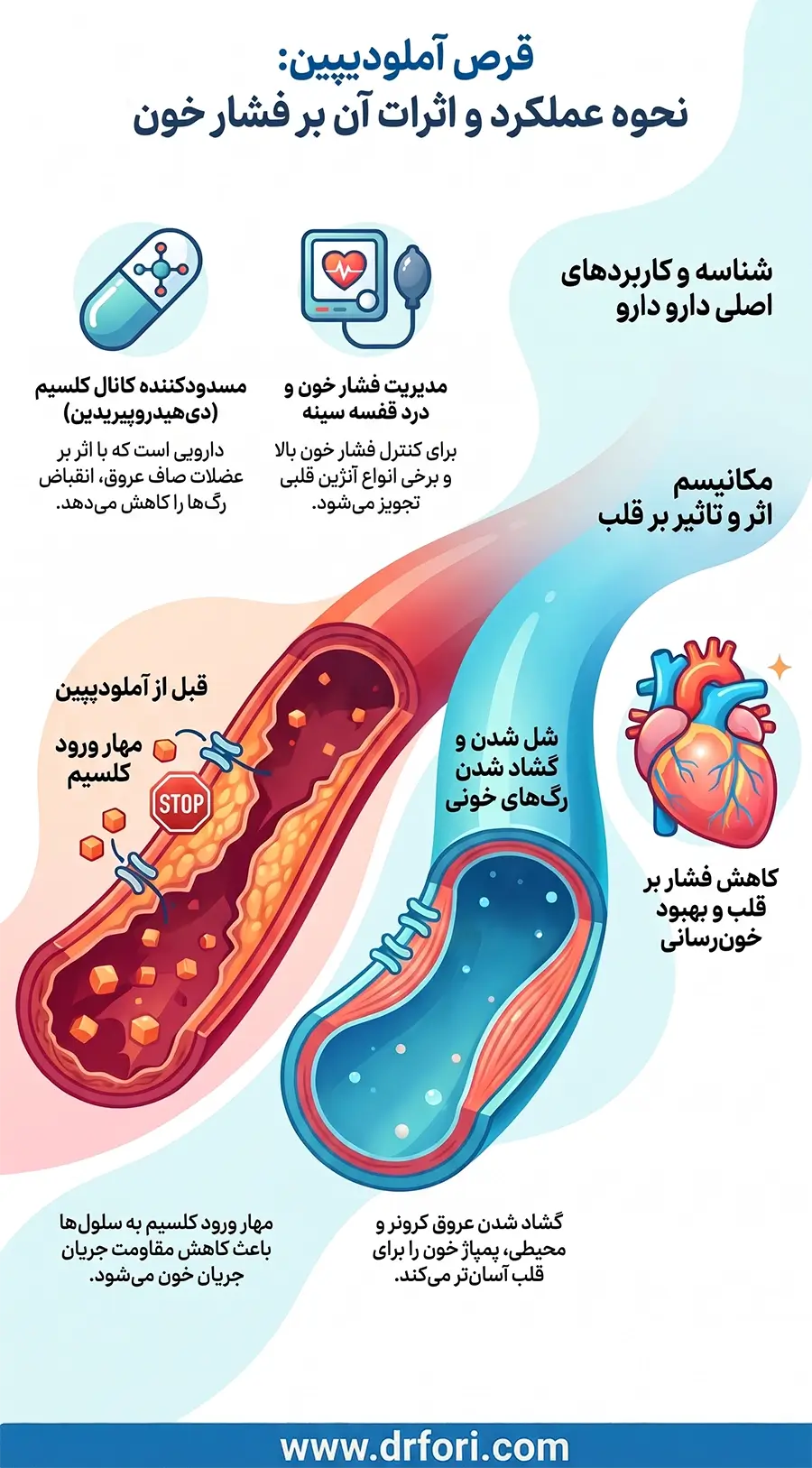 قرص آملودیپین: نحوه عملکرد و اثرات آن بر فشار خون