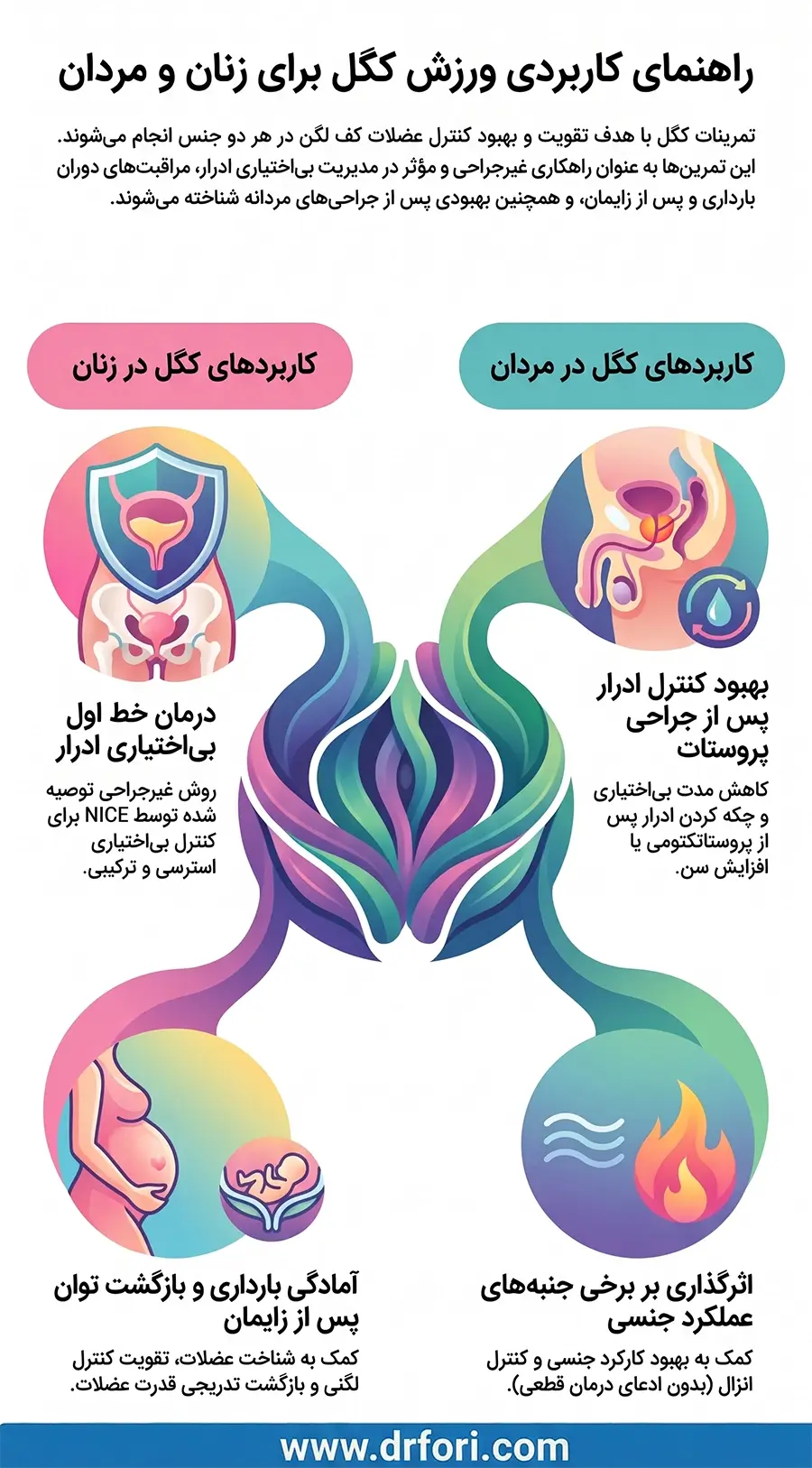 راهنمای کاربردی ورزش کگل برای زنان و مردان