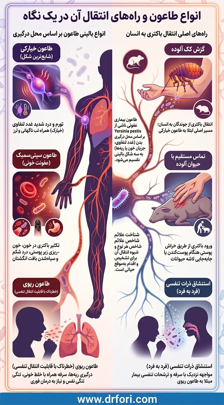 انواع طاعون و نحوه انتقال
